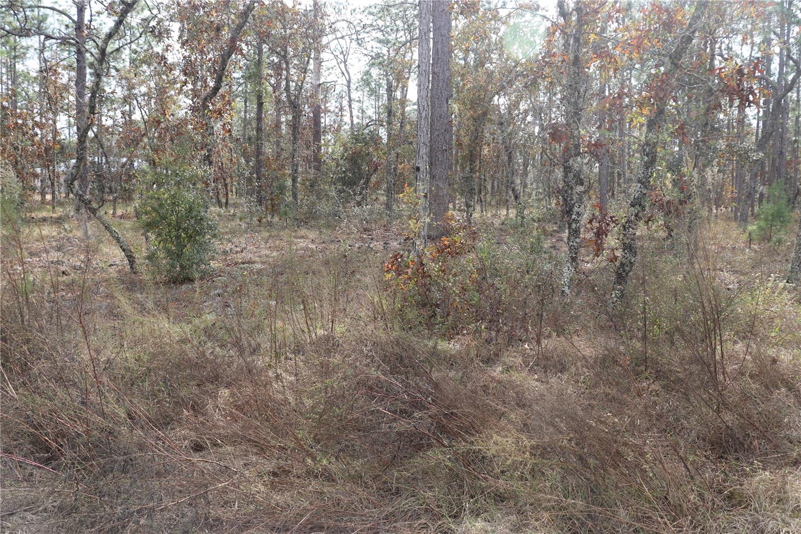 00 Geranium Avenue, FL