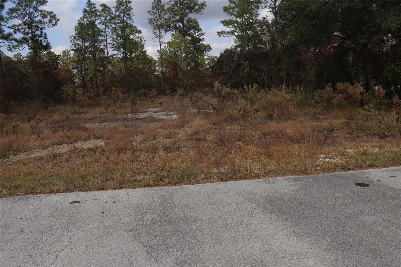 00 Geranium Avenue, FL