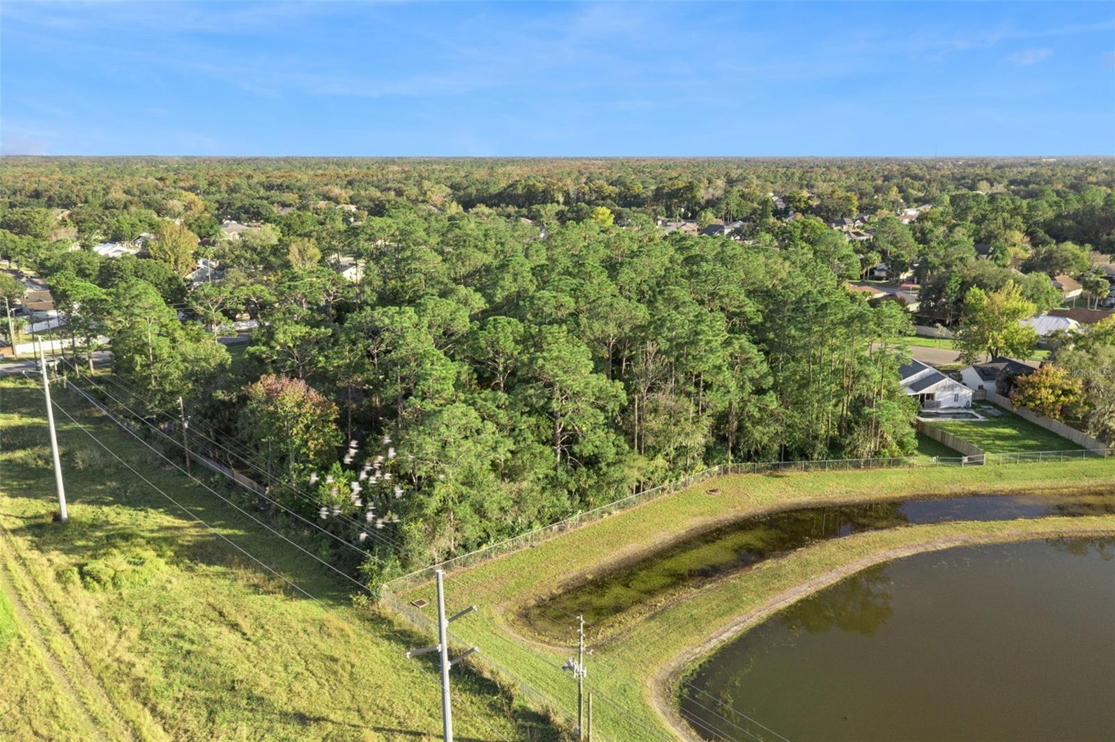 Percival Road, FL