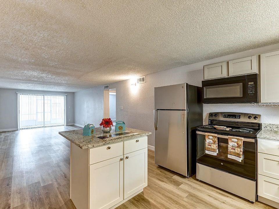 9919 Aquarius Drive, FL