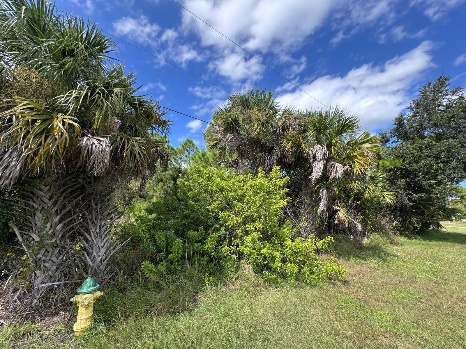 13612 Keystone Boulevard, FL