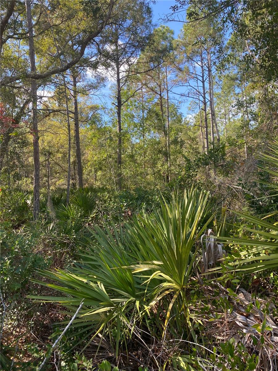 862 Lamar Street, FL