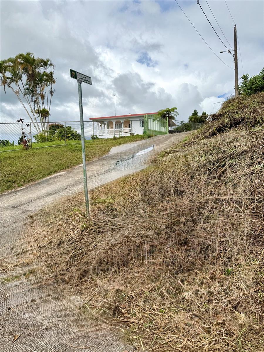Calle Pineros, PR