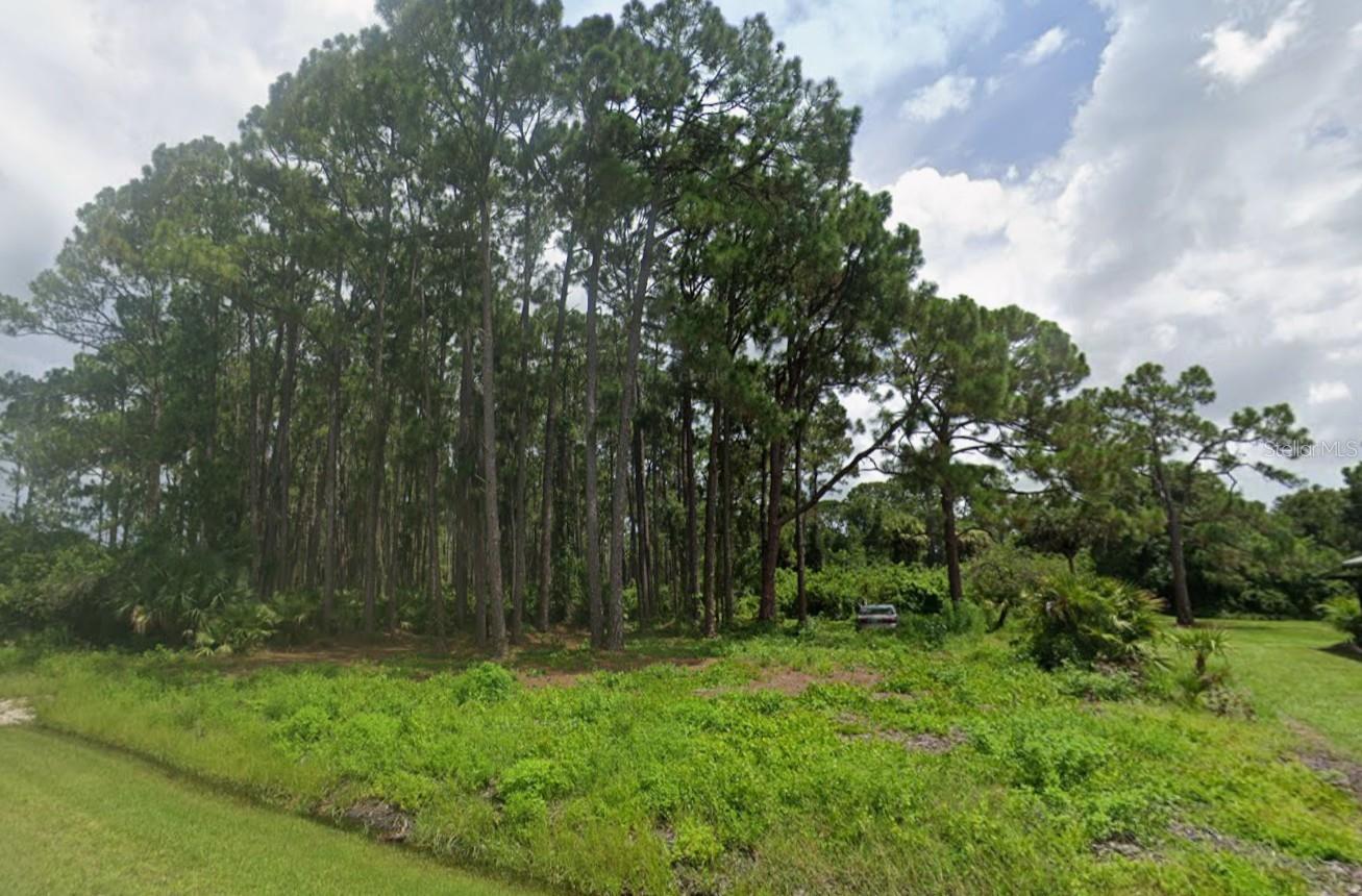 12203 Chamberlain Boulevard, FL