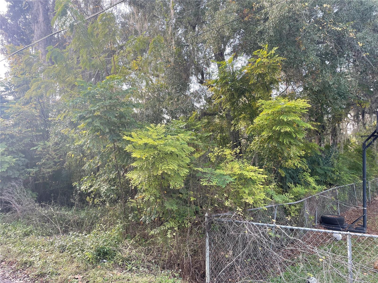 131 Lake Mamie Road, FL