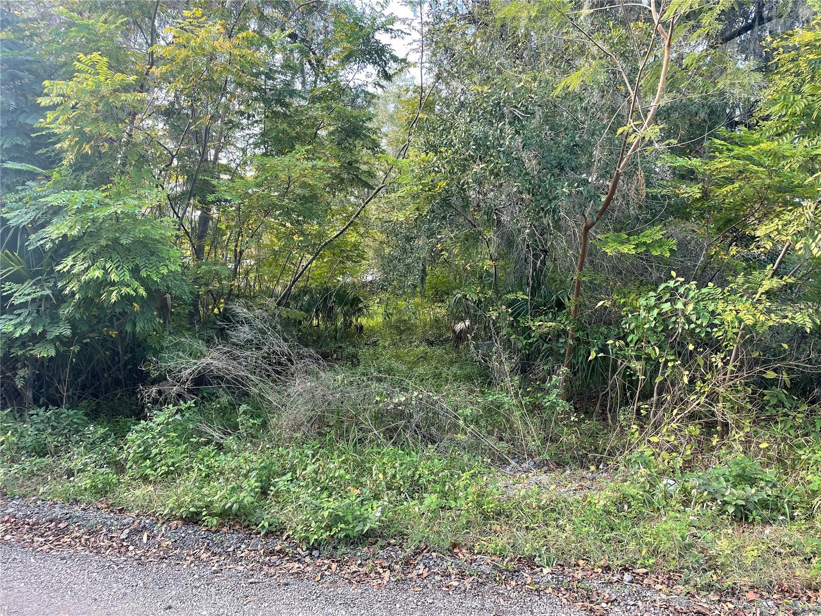 131 Lake Mamie Road, FL