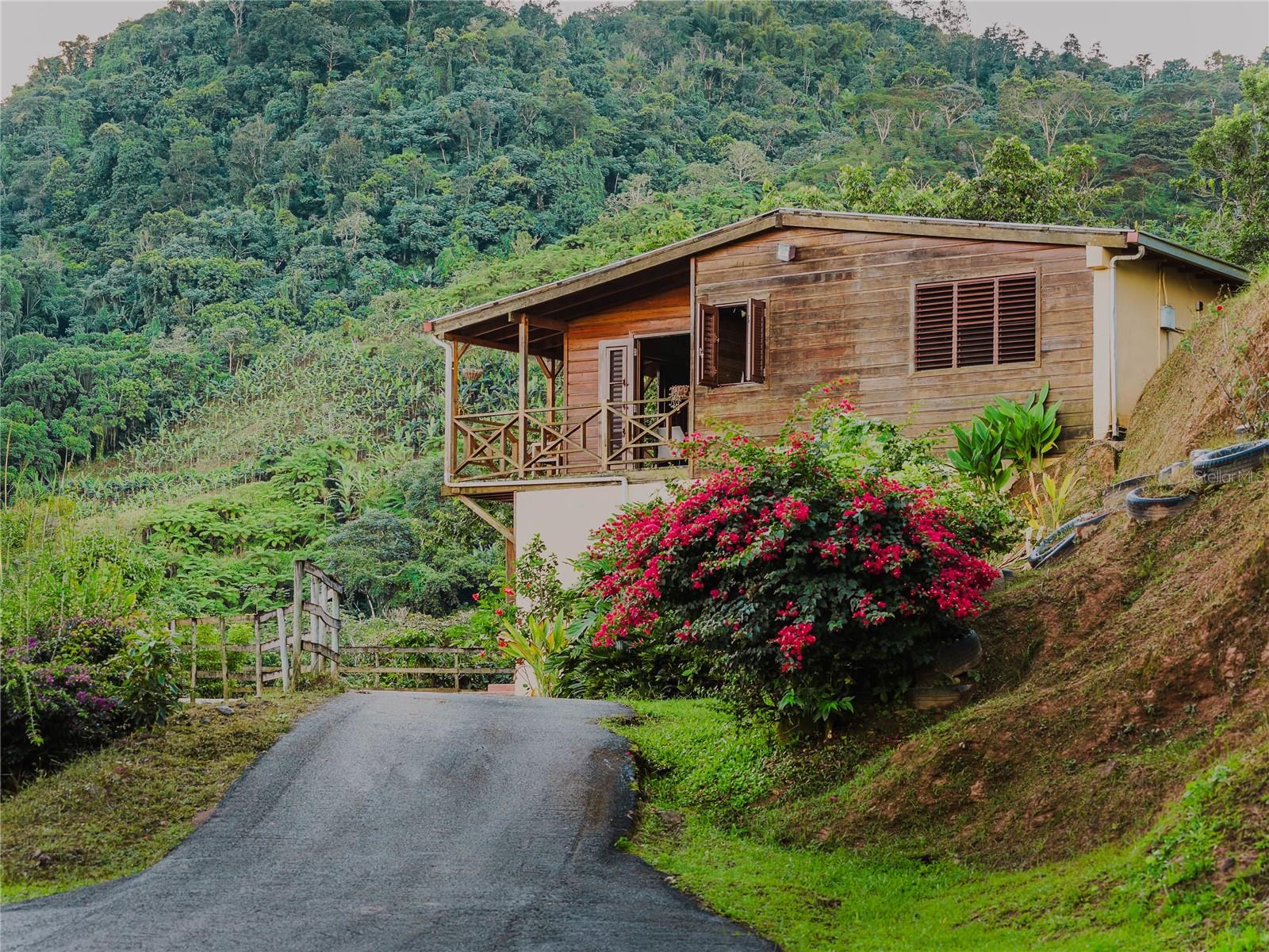 Sr 526 Bosque Tanama, PR