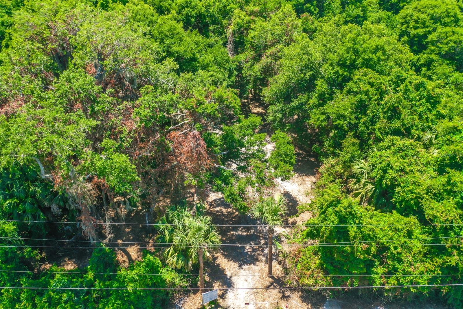 4400 Ocean Shore Boulevard, FL