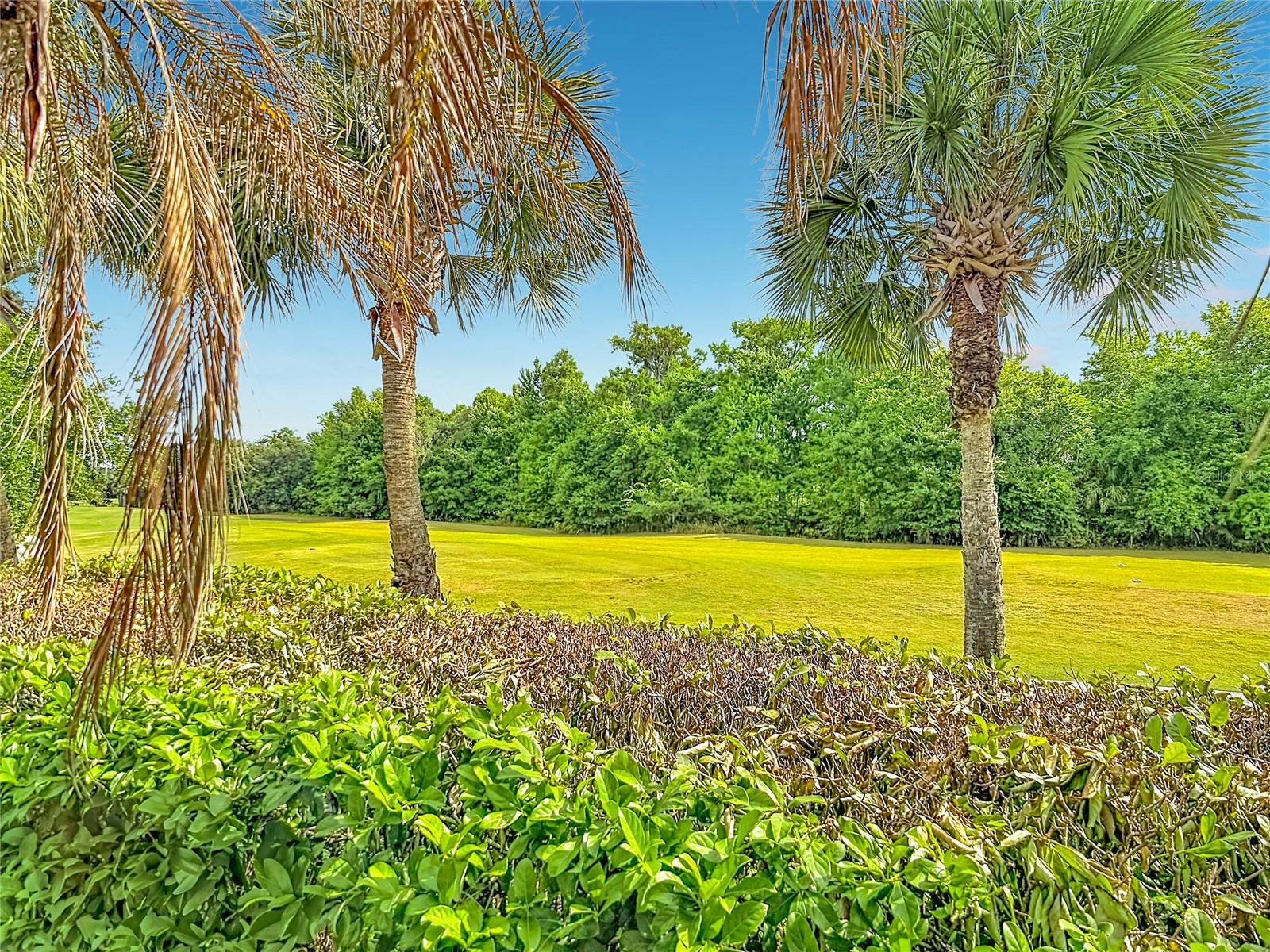 591 Highlands Hammock Drive, FL