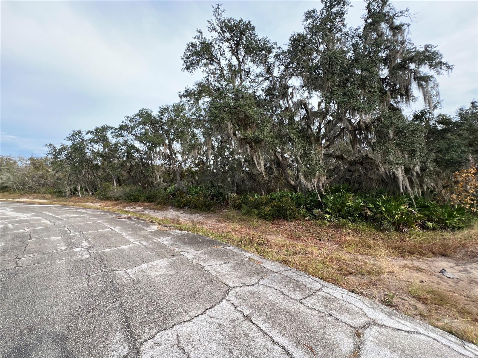 1251 Baltic Drive, FL
