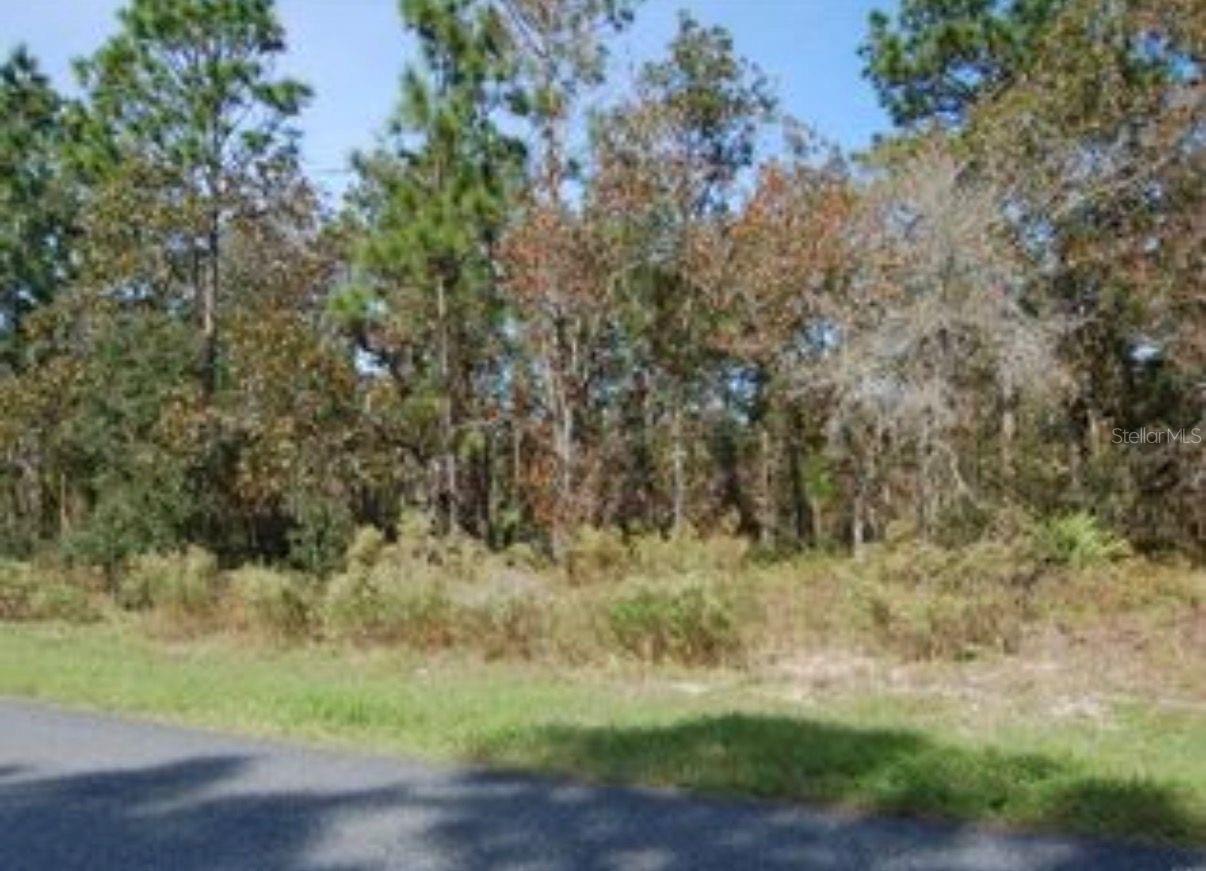 2084 Riley Drive, FL