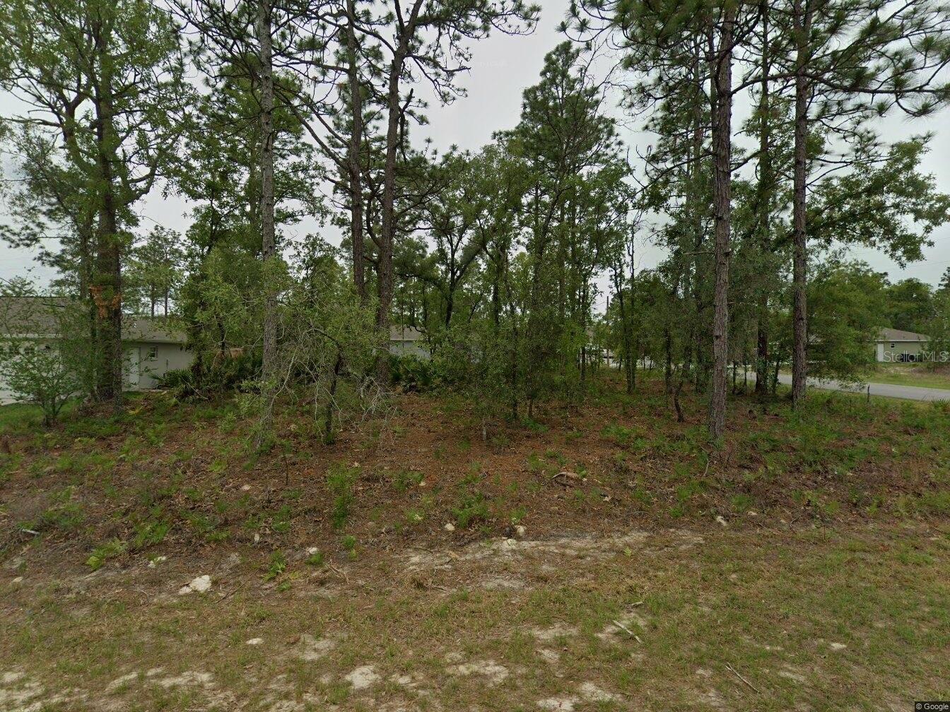 2084 Riley Drive, FL