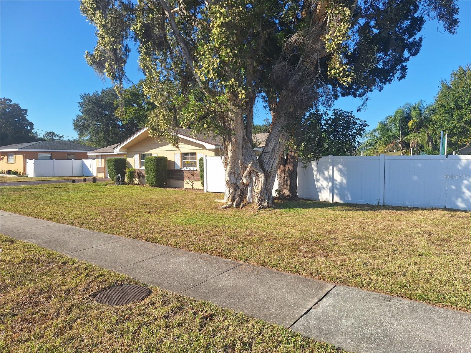1202 Keene Road, FL