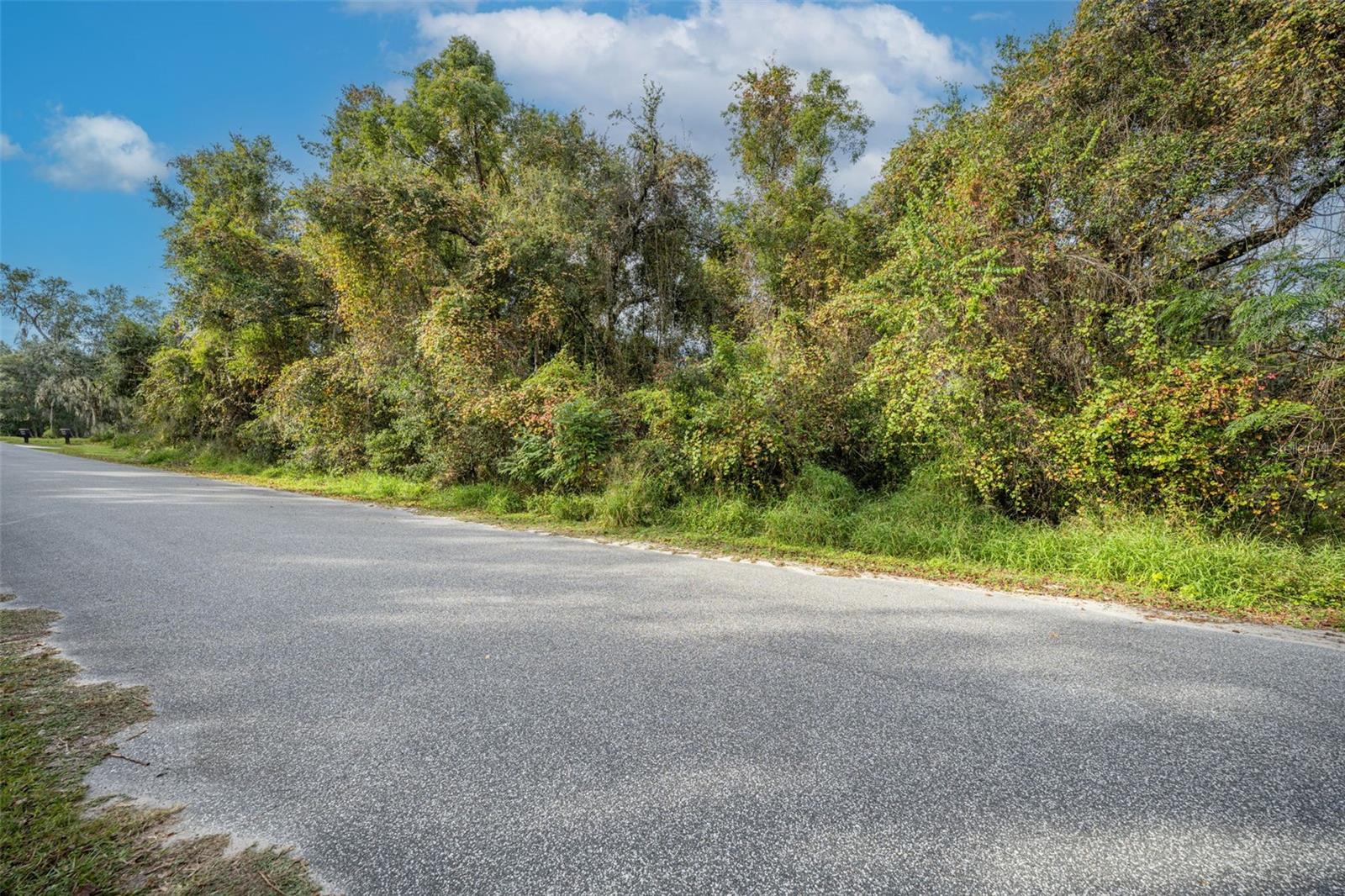Royal Oak Road, FL
