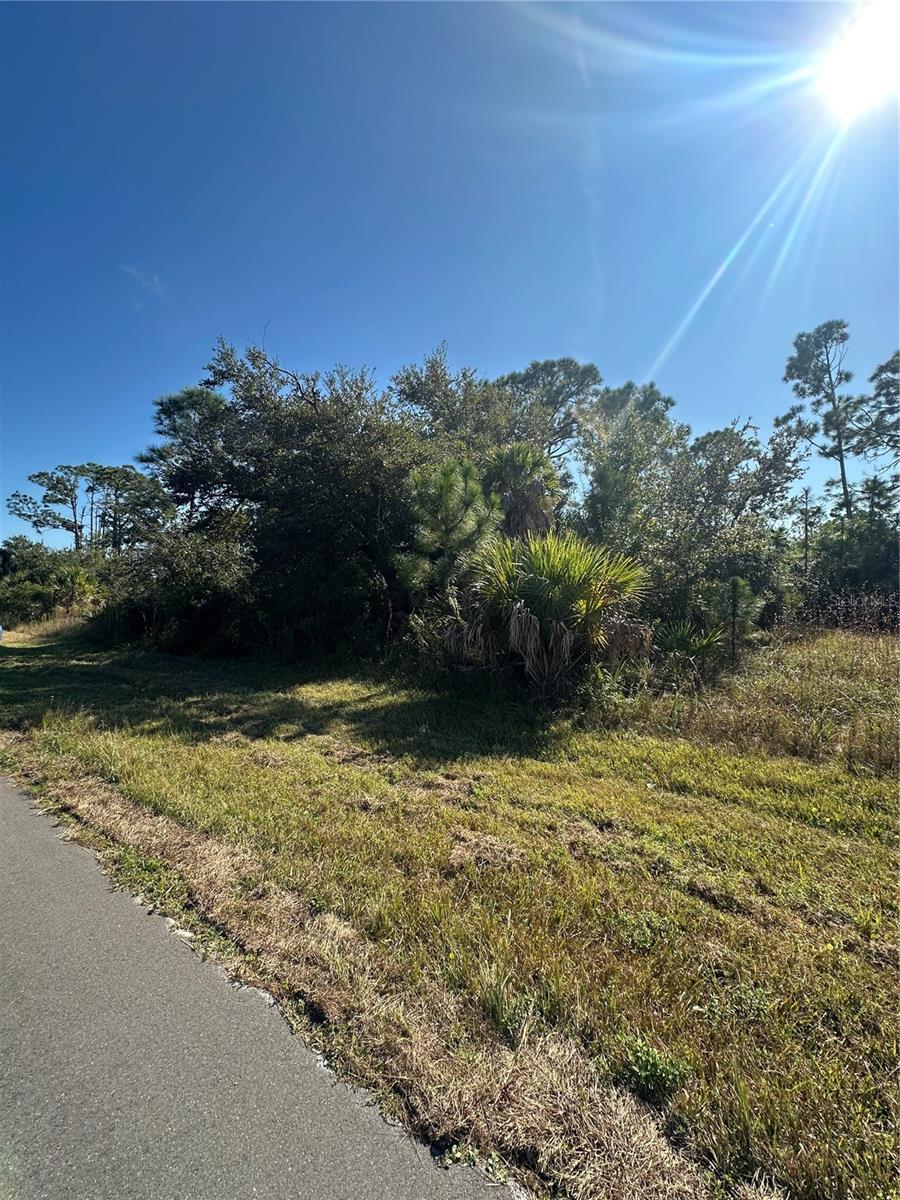 10405 Rockford Avenue, FL