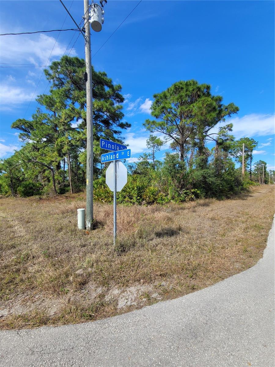 236 Pinola Avenue, FL