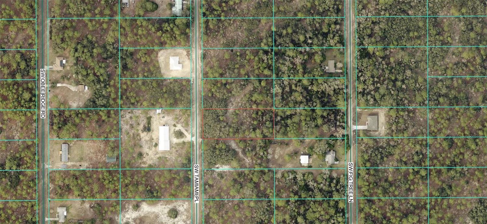 0 Tbd Tamiami Place, FL