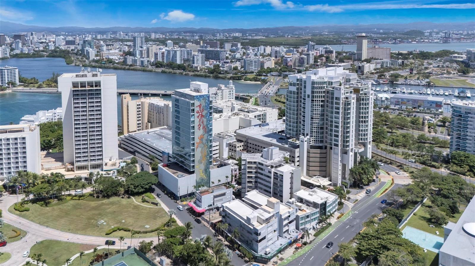 55 Las Palmeras, PR