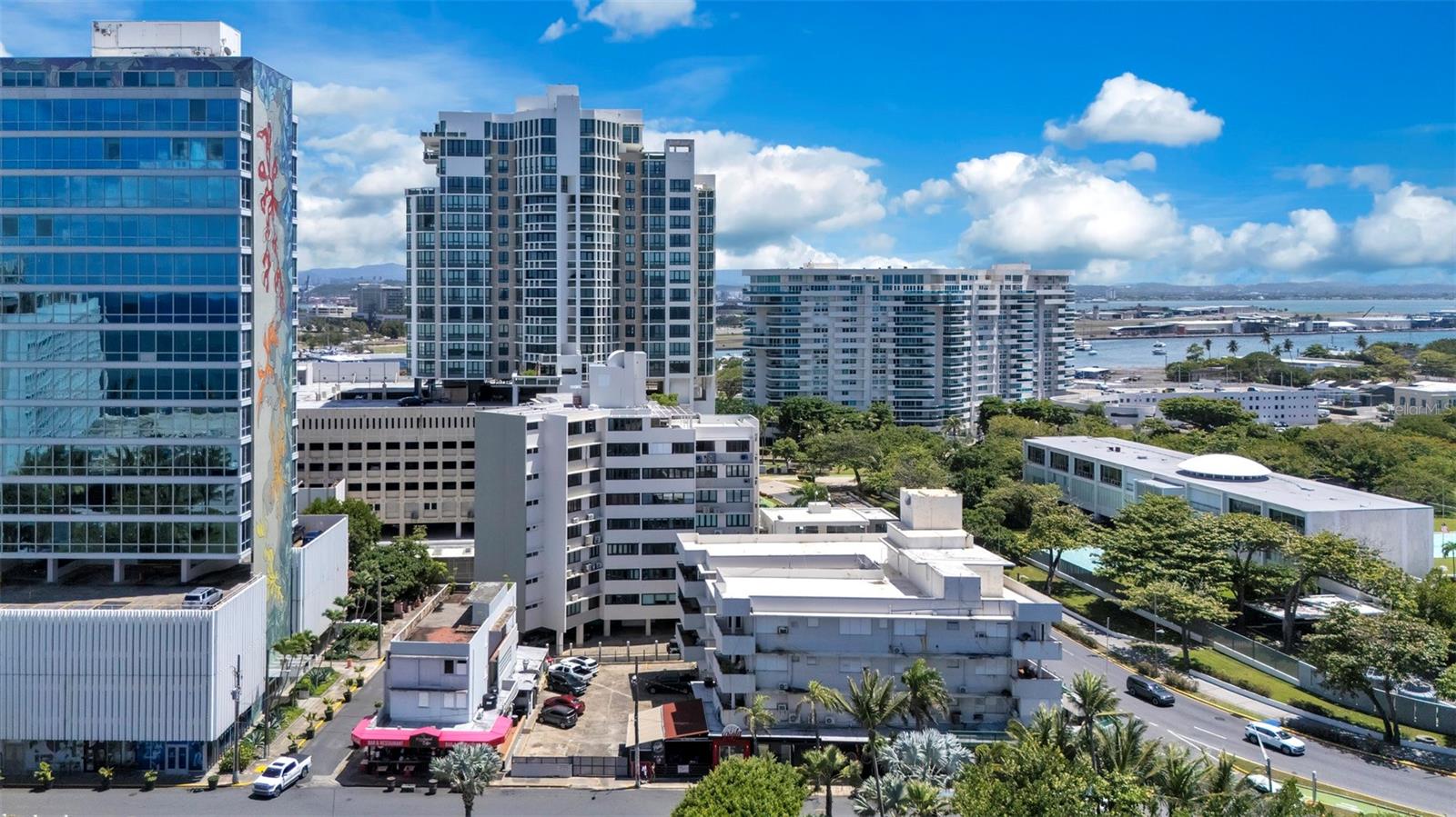 55 Las Palmeras, PR