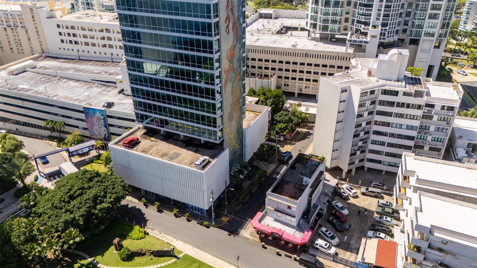 55 Las Palmeras, PR