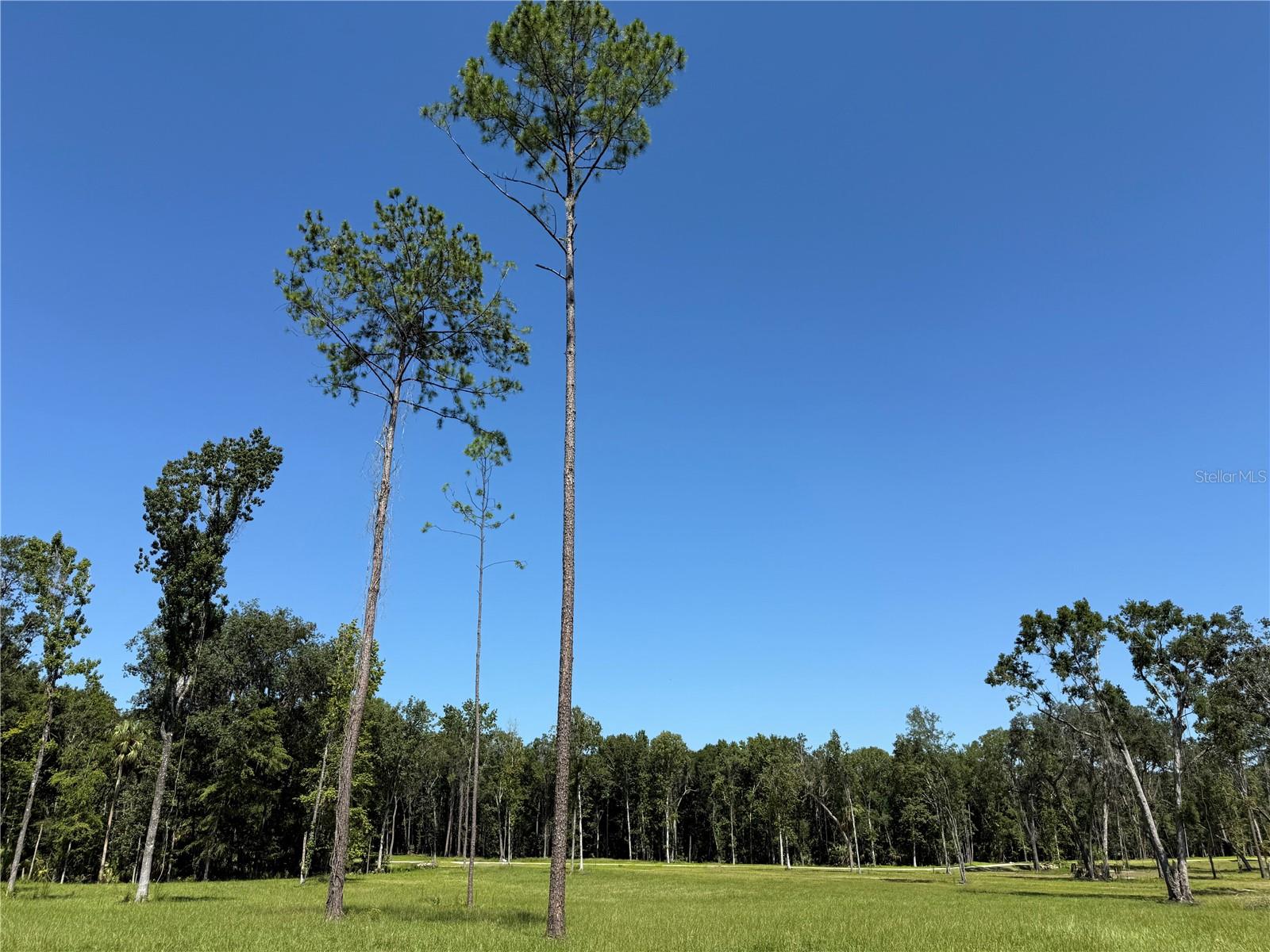 Dr #7 (10ac) 193rd St, FL