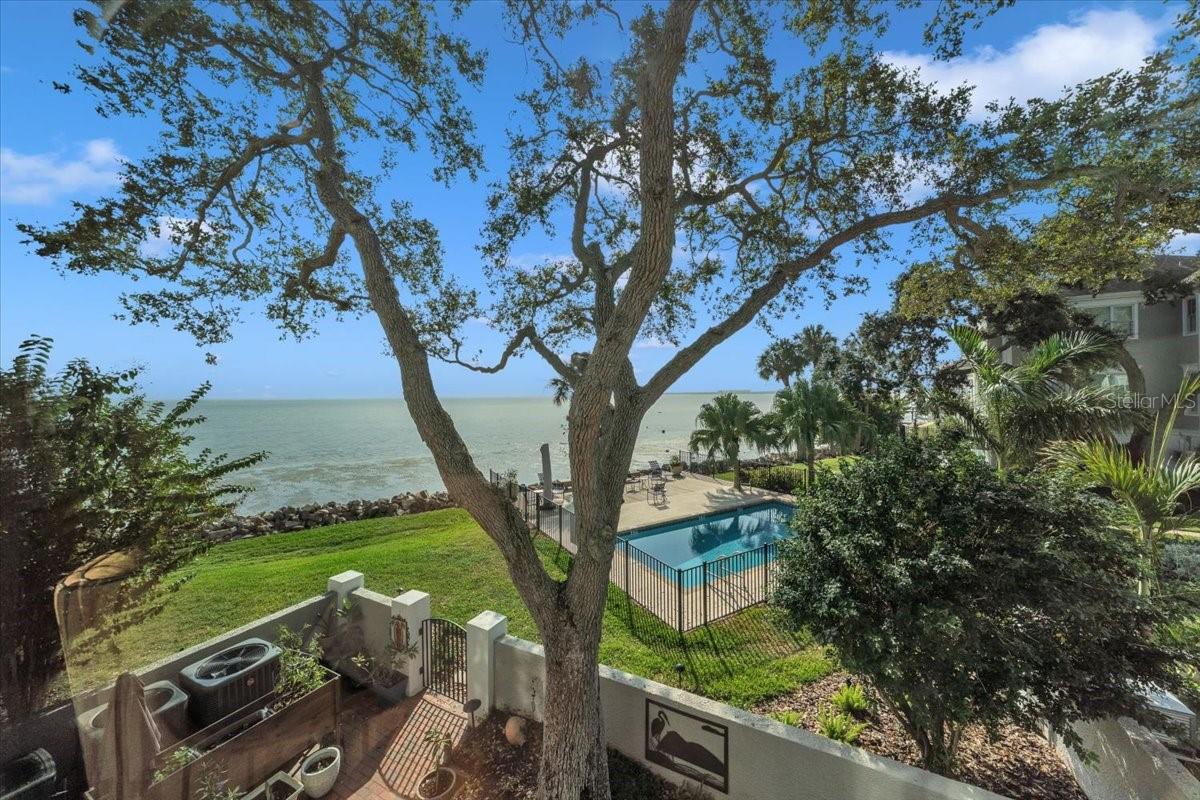 6212 Bayshore Boulevard, FL
