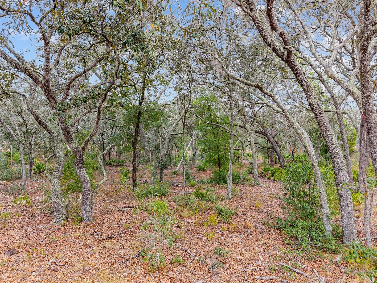 131 Place, FL