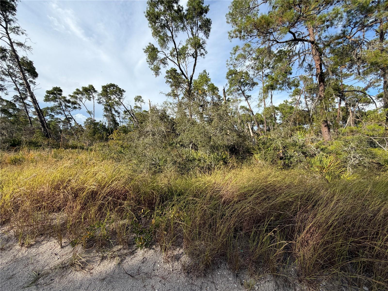 478 Darter Avenue, FL