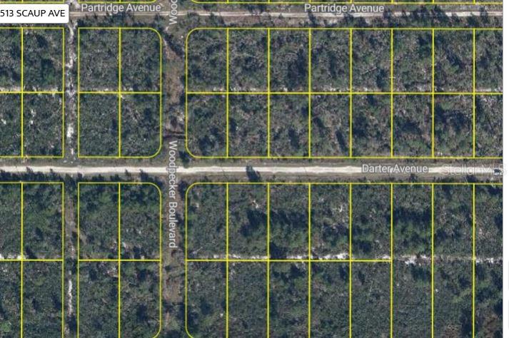 478 Darter Avenue, FL