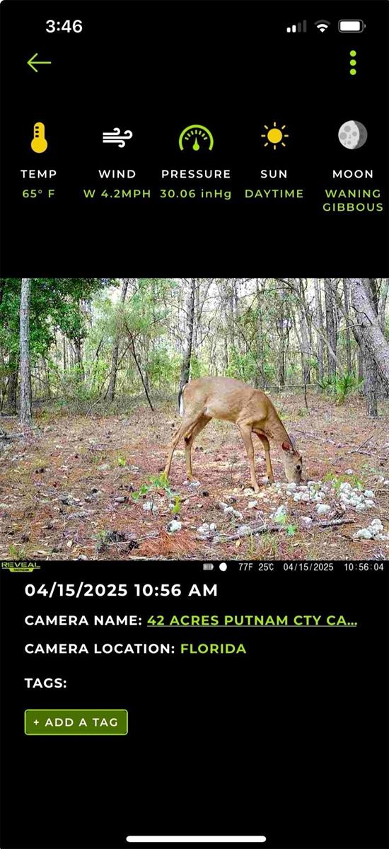 Old Bellamy Trail, FL