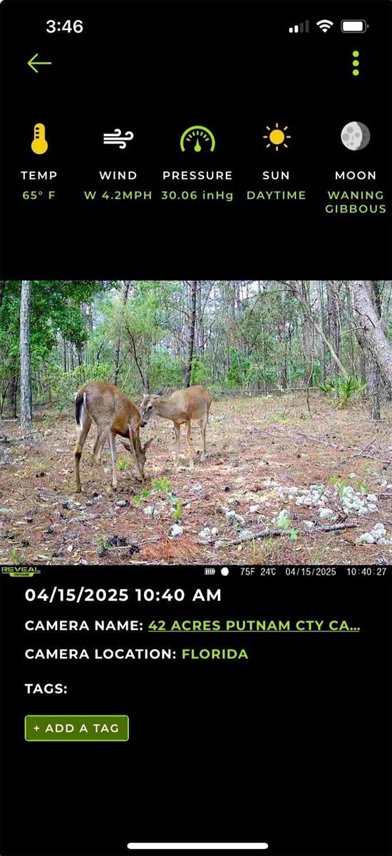 Old Bellamy Trail, FL