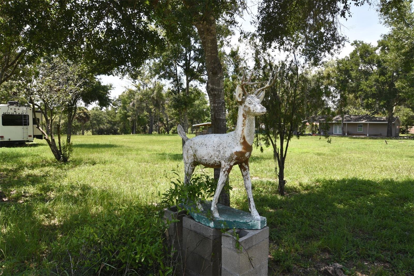3100 Poverty Lane, FL