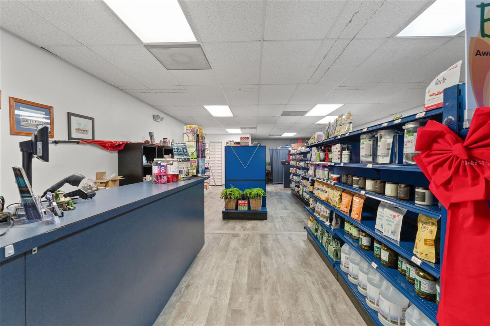 7048 Mariner Boulevard, FL