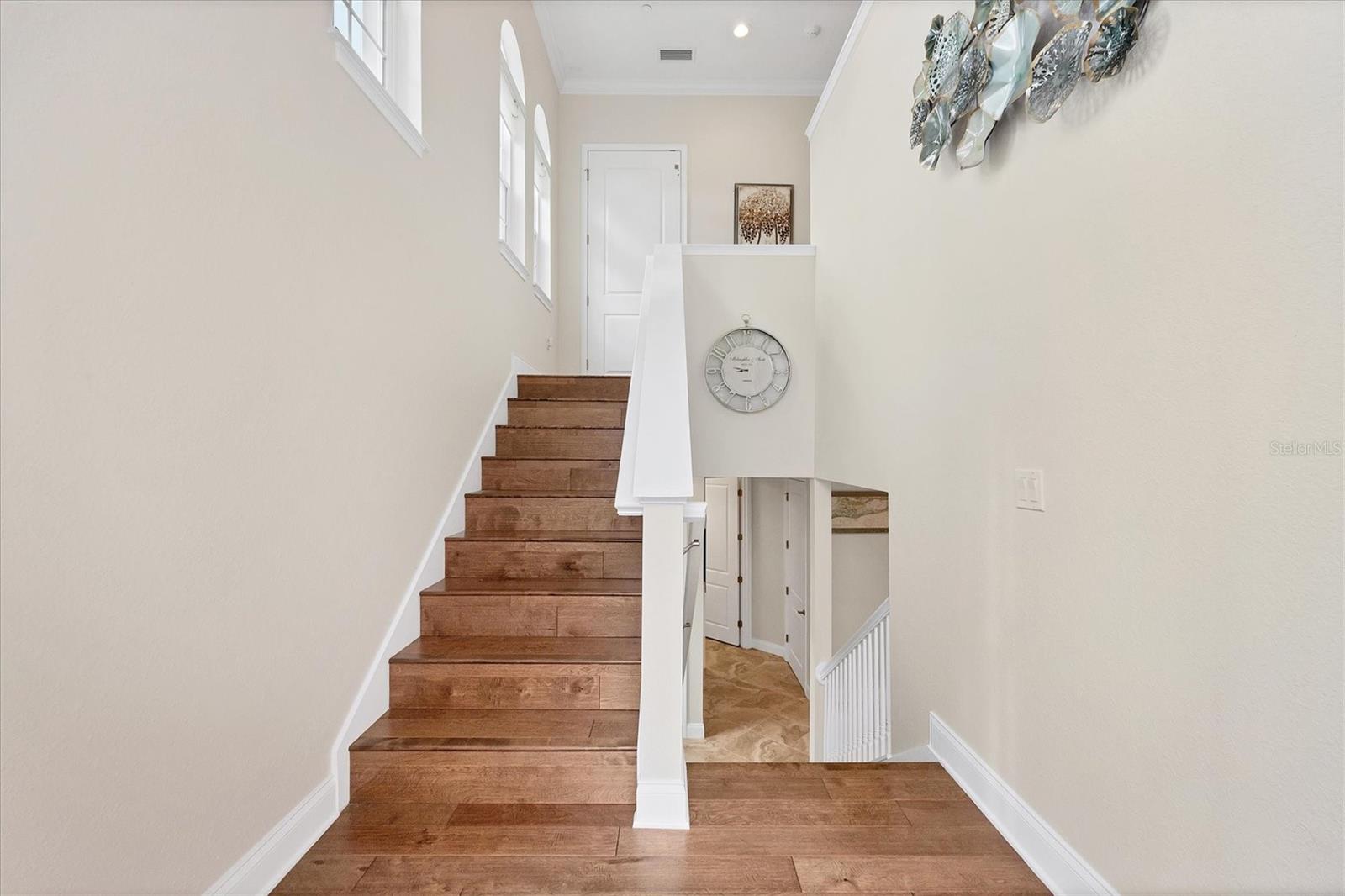 455 Nokomis Avenue, FL