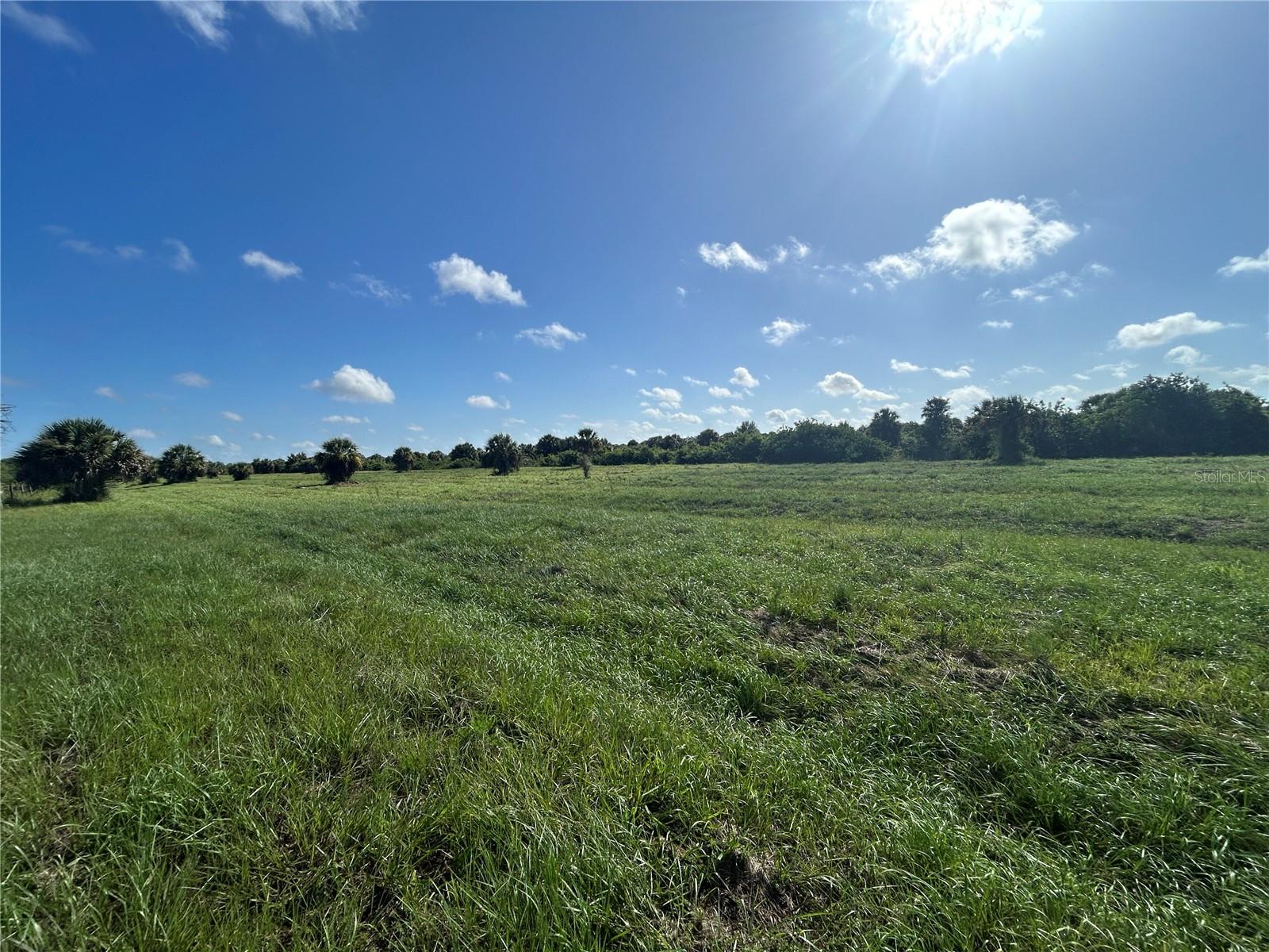 7008 Grove Boulevard, FL