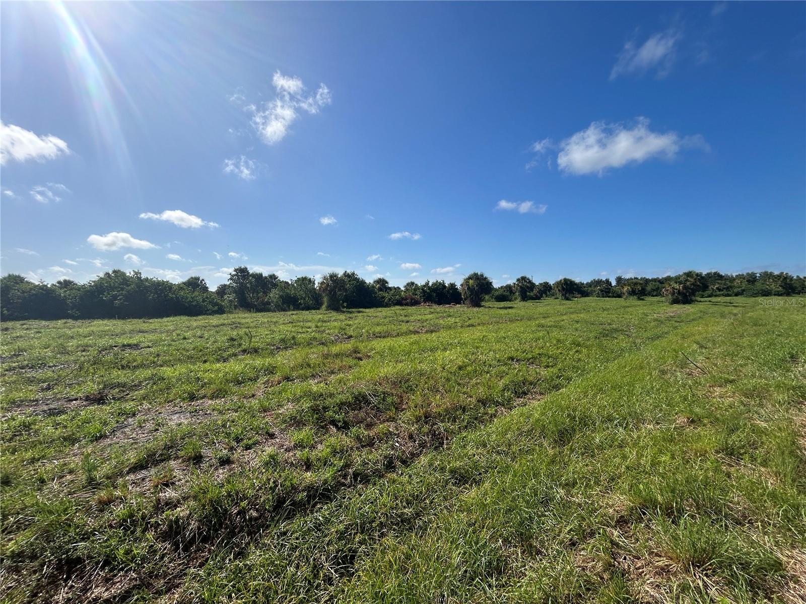 7008 Grove Boulevard, FL