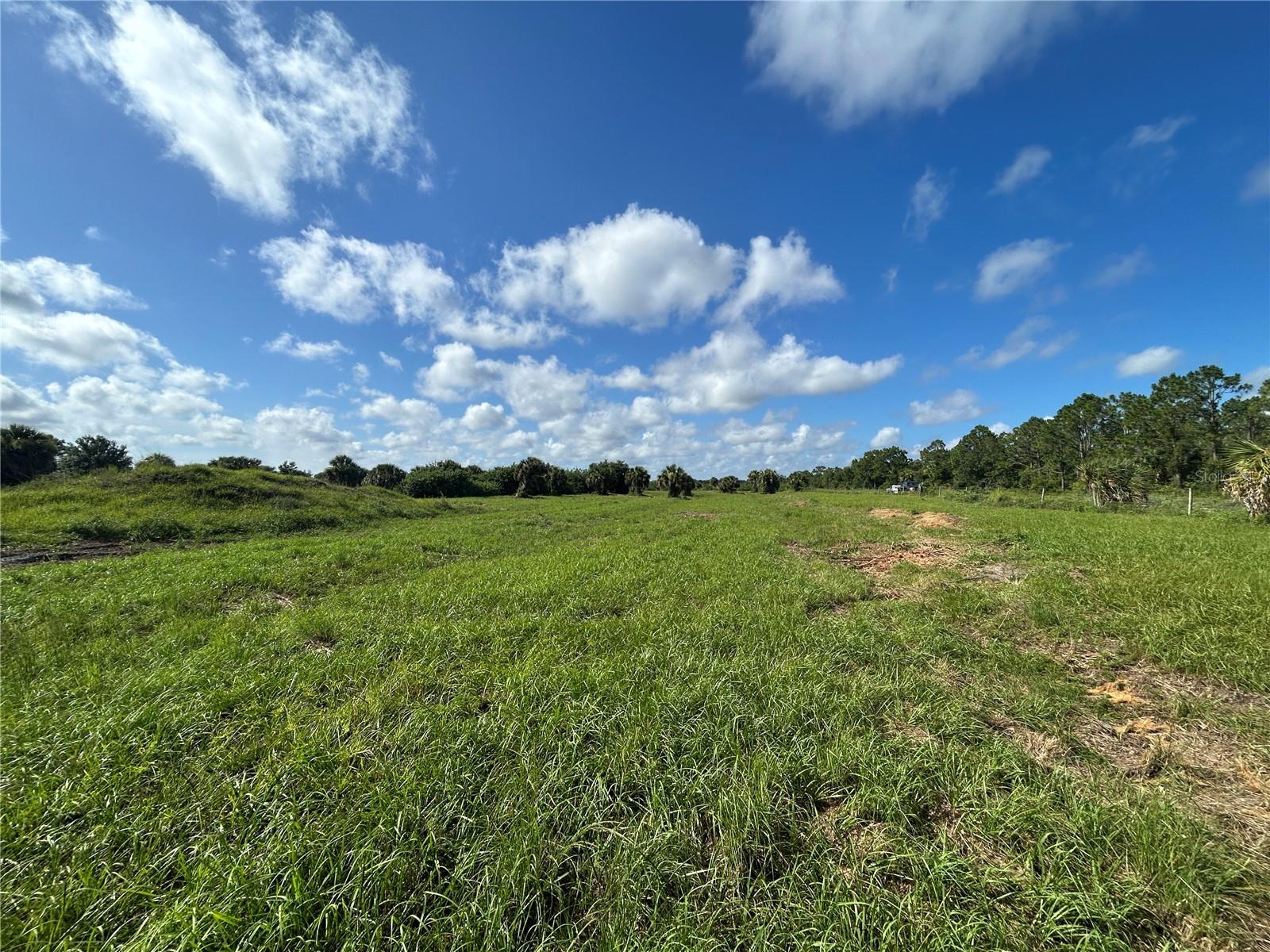 7008 Grove Boulevard, FL