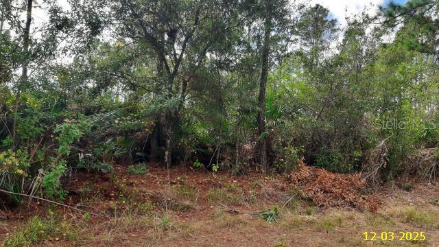 23475 Moses Court, FL