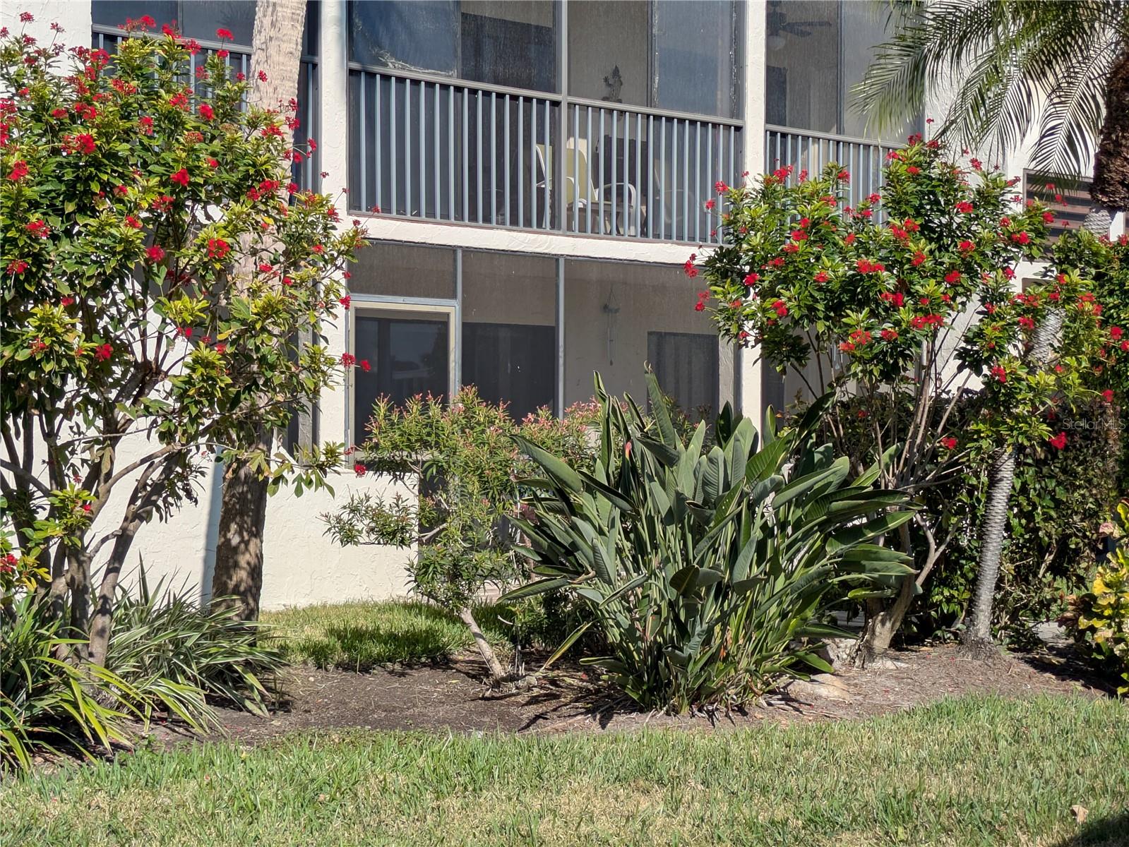 6114 43rd Street, FL