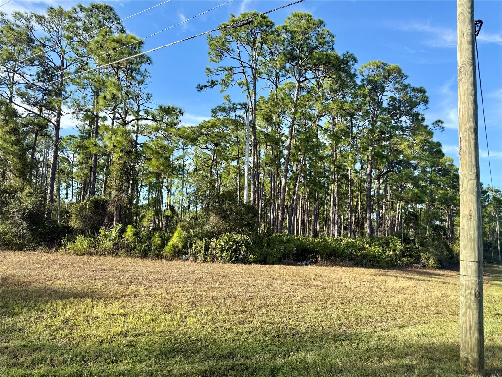 Tropicaire Boulevard, FL