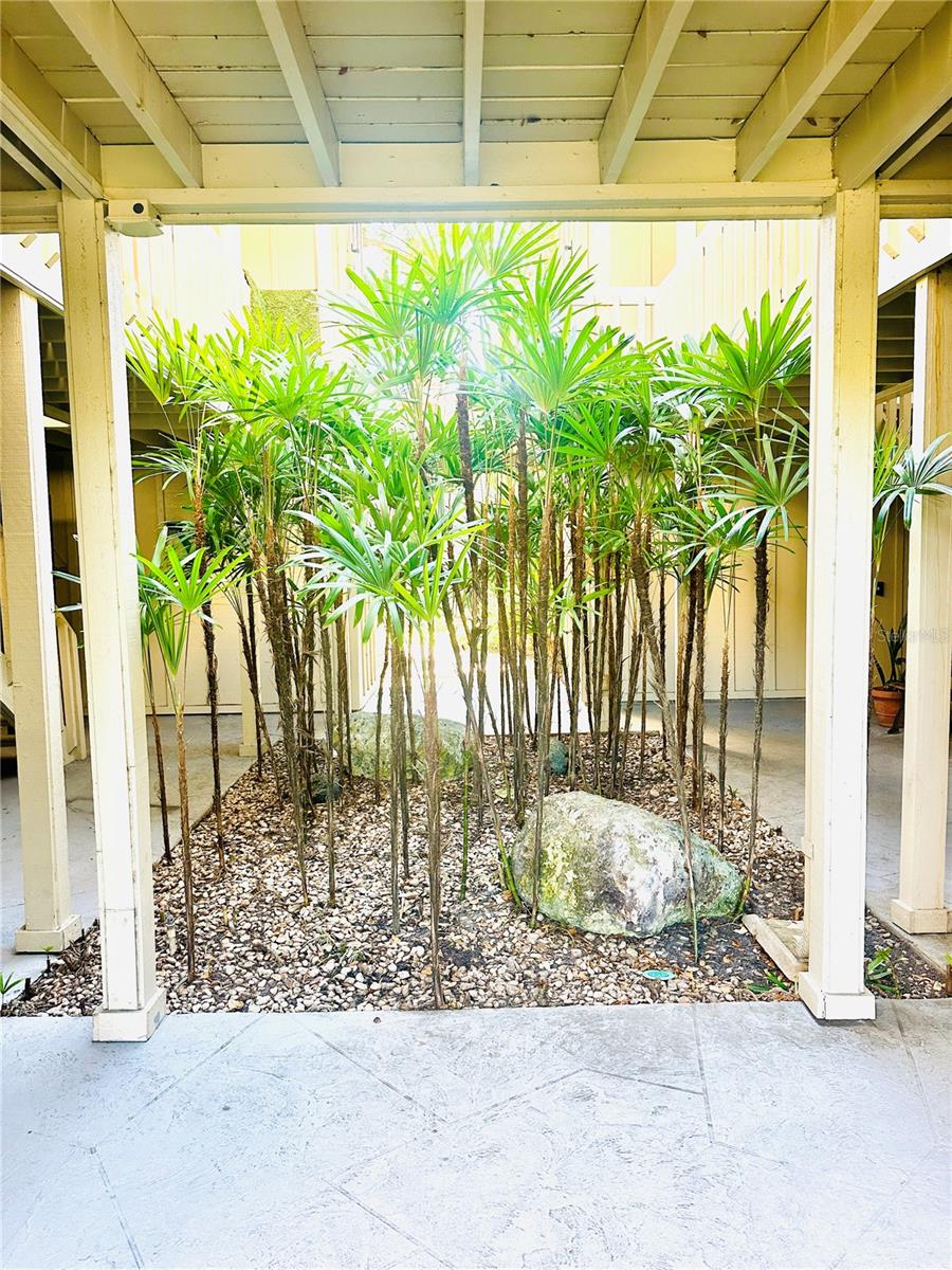 2200 Bahia Vista St, FL
