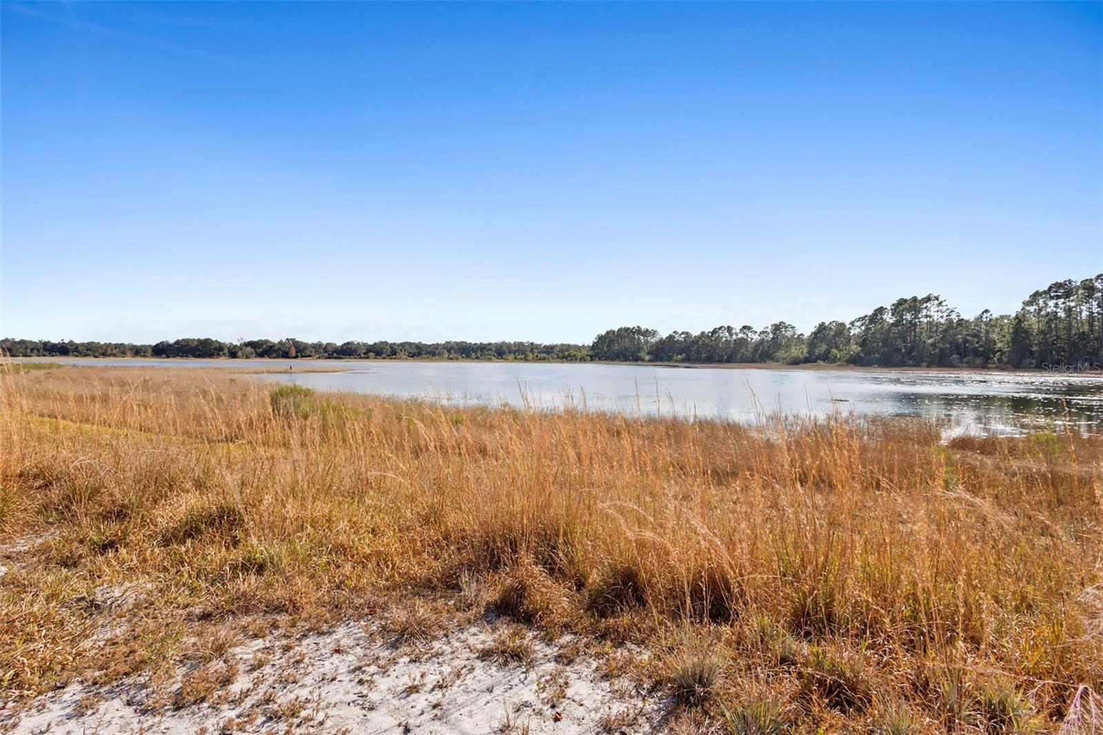Tbd 256th Avenue, FL