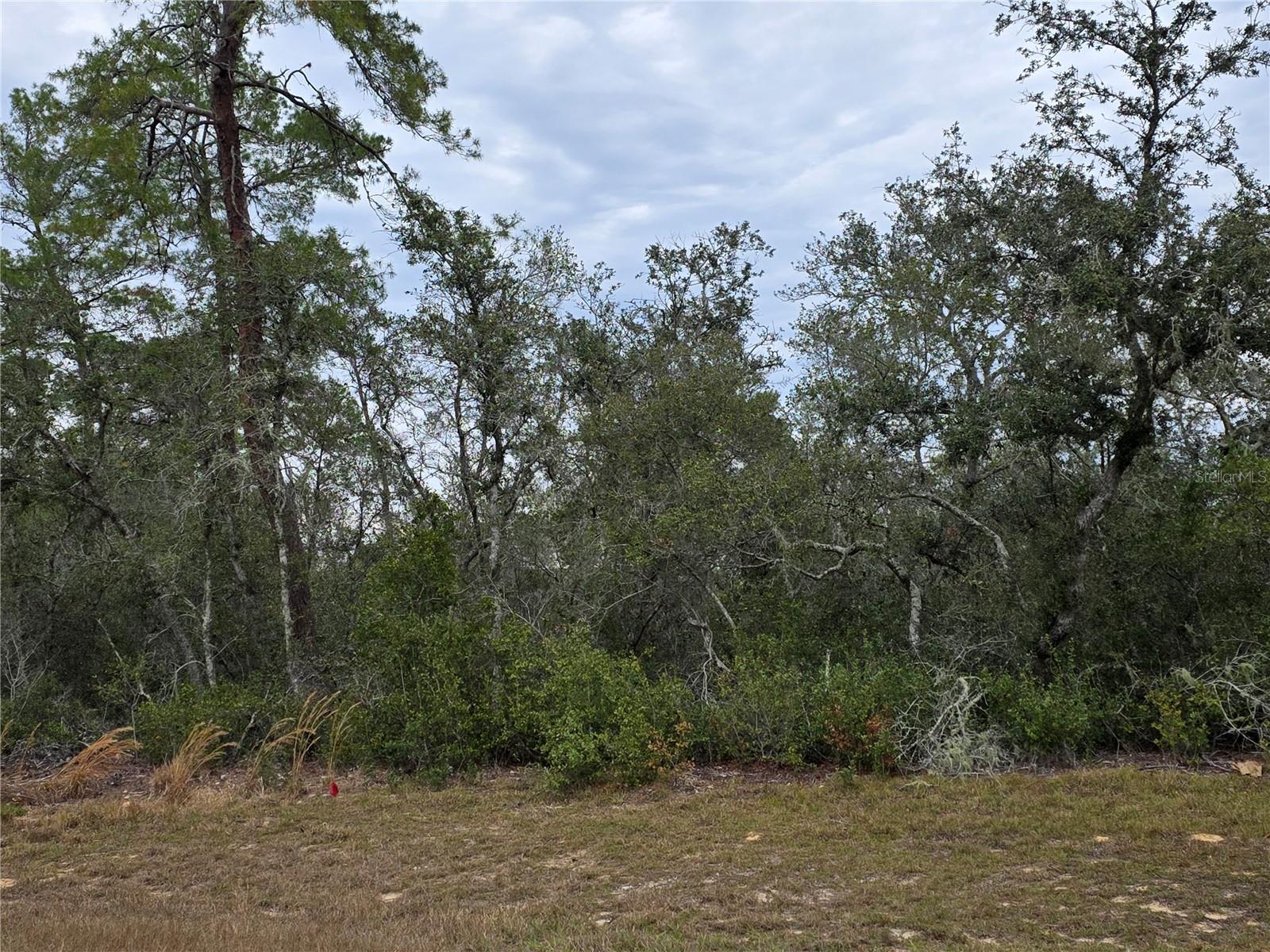 165 Street Road, FL
