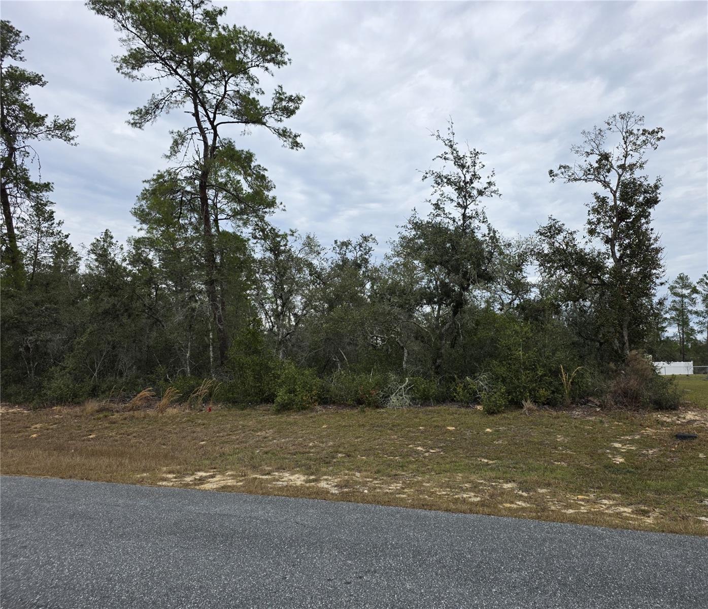 165 Street Road, FL