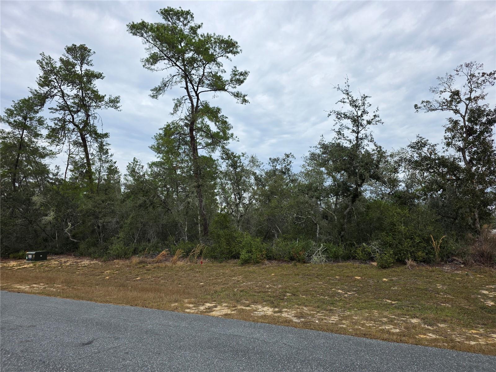 165 Street Road, FL