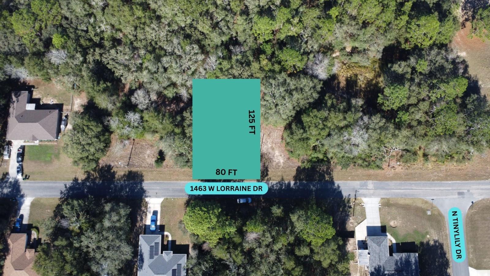 1463 Lorraine Drive, FL