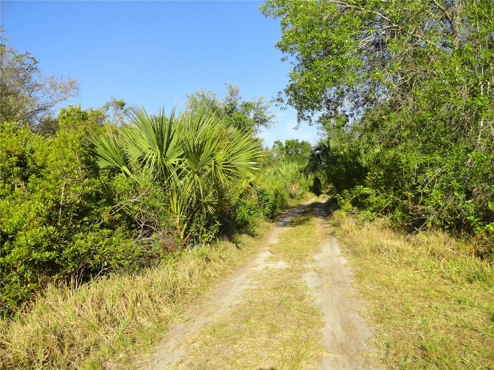1357 Beauregard Court, FL