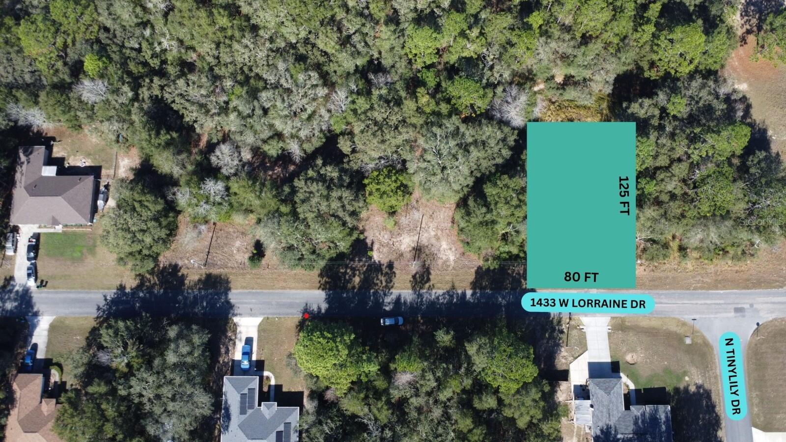 1433 Lorraine Drive, FL