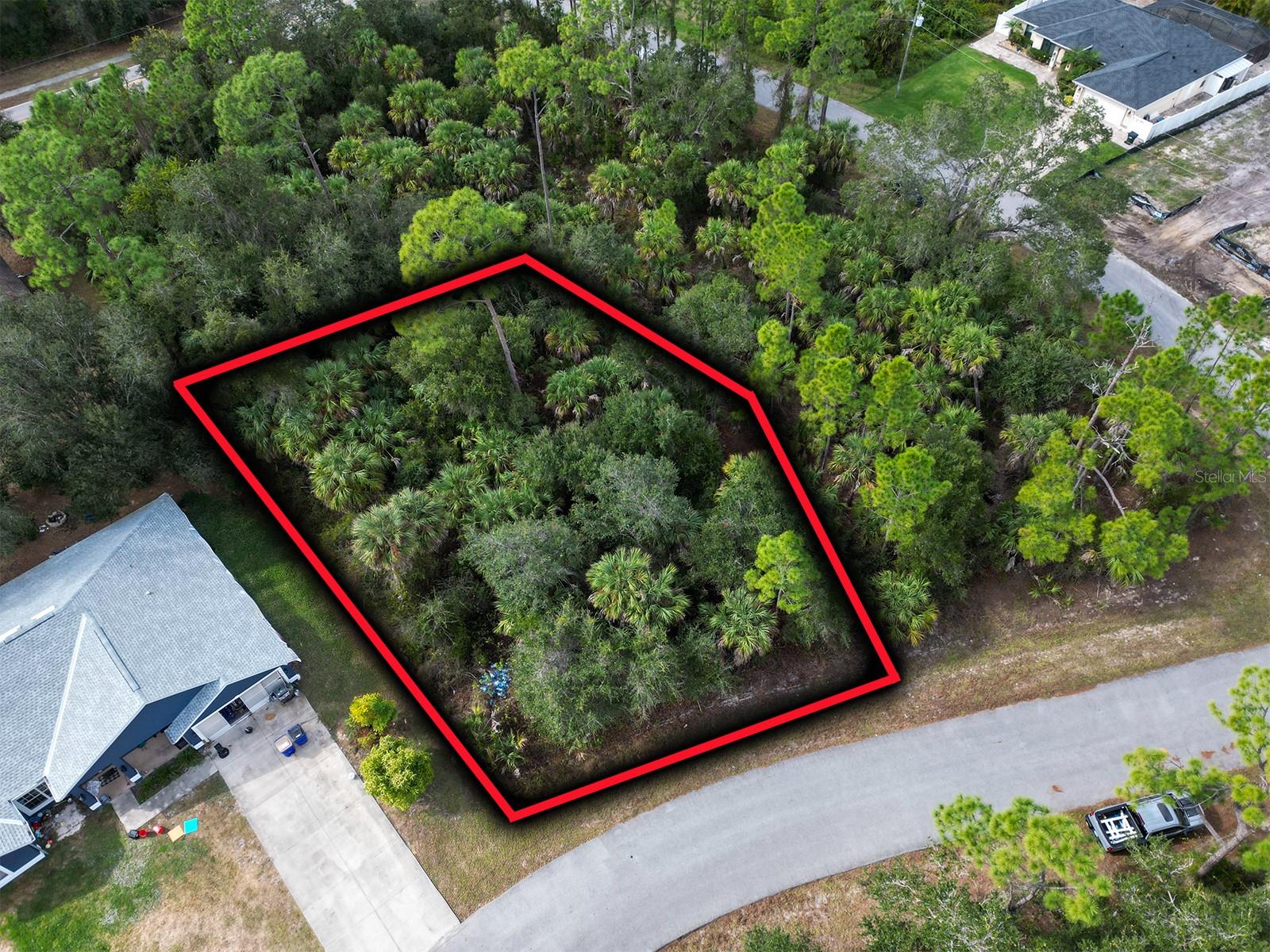 Felix Avenue, FL