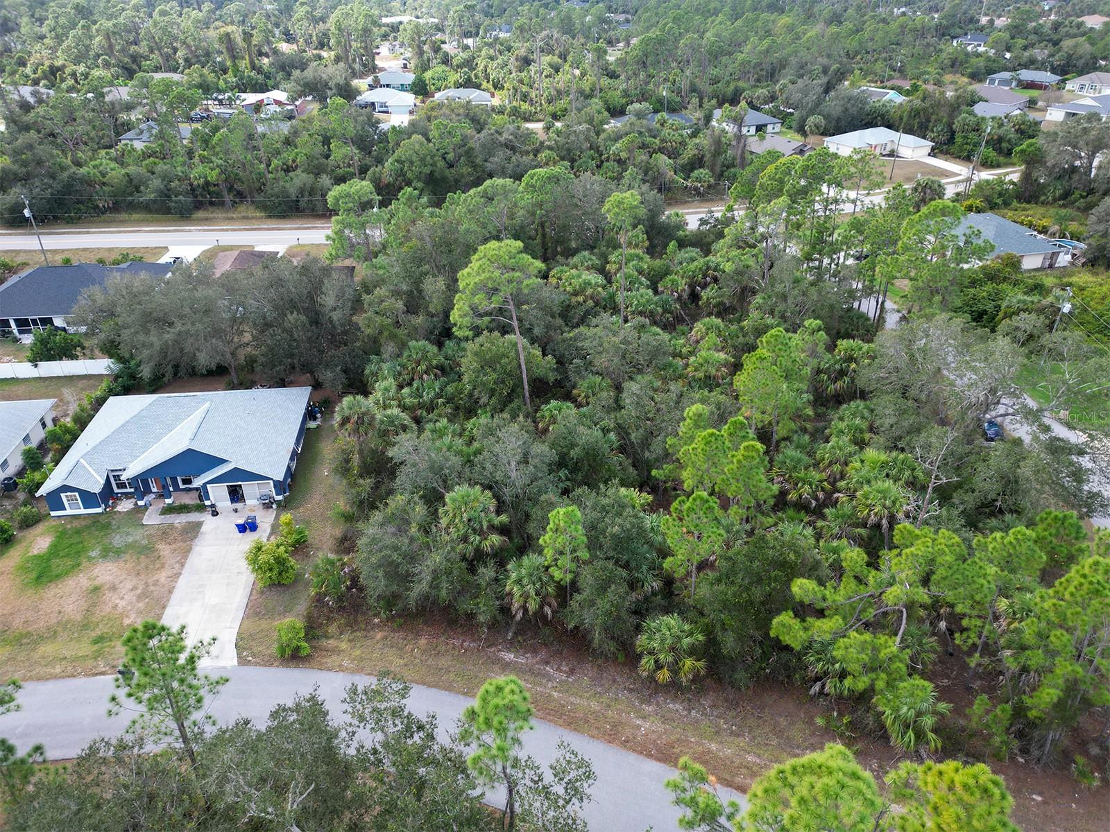Felix Avenue, FL